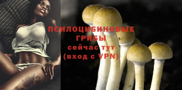 бошки Абинск