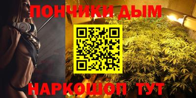 спиды Новодвинск