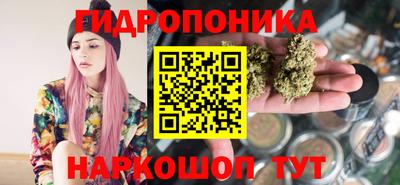 СК Новокубанск