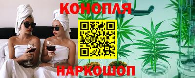 спиды Новодвинск