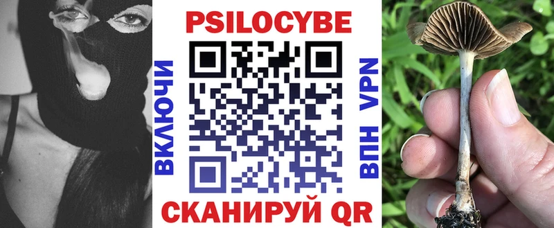 дарнет шоп  Тутаев  omg вход  Галлюциногенные грибы Cubensis 