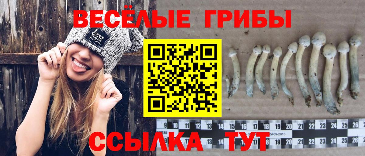 Галлюциногенные грибы Cubensis Тутаев